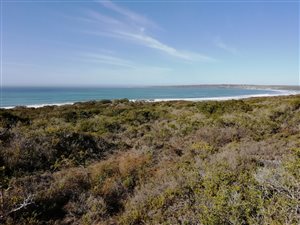2438 m² Land available in Springerbaai Eco Estate