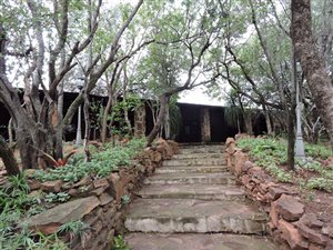 8.6 ha Farm in Koster