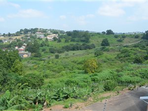 2.3 ha Land available in Wyebank