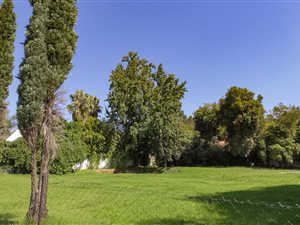 1577 m² Land available in Illovo