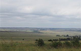 1000 m² Land available in Presidentsrus