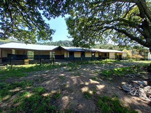 344 ha Farm in Bulwer