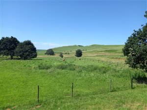 344 ha Farm in Bulwer