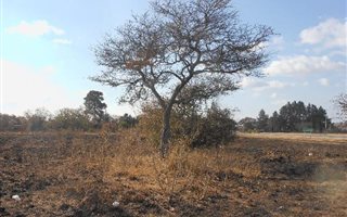 4.1 ha Land available in Ivydale