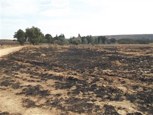 7 ha Land available in Meyerton
