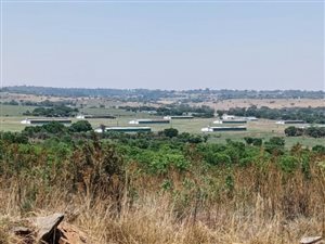 50 ha Farm in Hoekplaats