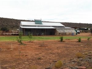366 ha Farm in Ladismith