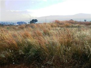 2006 m² Land available in Lydenburg
