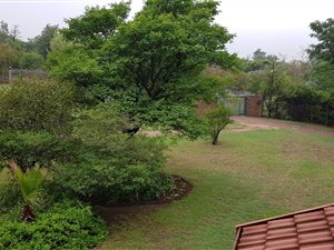 214 m² Office Space in Glen Austin AH