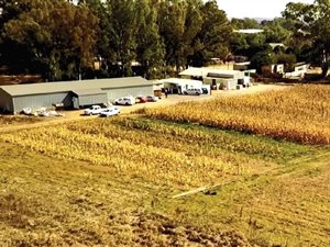 2 ha Farm in Vyfhoek