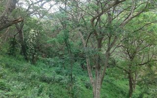 3157 m² Land available in Dawncliffe