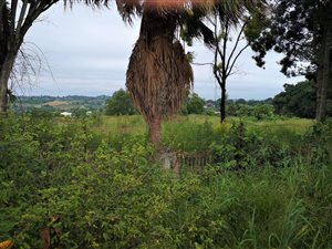 2 ha Land available in White River AH