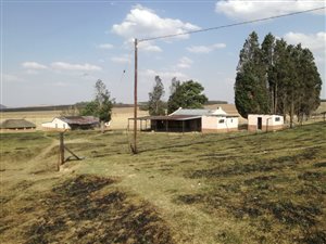 810 ha Farm in Newcastle Central