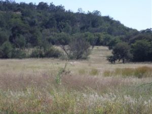 11820 ha Land available in Walkerville