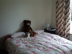 1 Bed Garden Cottage in Hazeldene