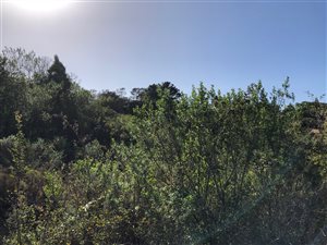 1055 m² Land available in Plettenberg Bay