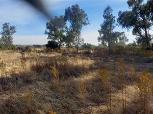 6 ha Farm in Quaggafontein