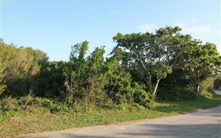 812 m² Land available in Seafield