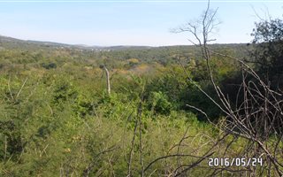 59.8 ha Land available in Ashburton