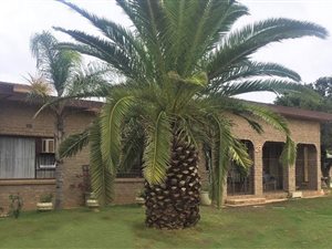 4 Bedroom House in Campher Park