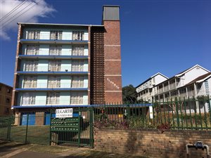 1 Bed Apartment in Scottsville