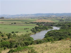 1578 m² Land available in Mtunzini