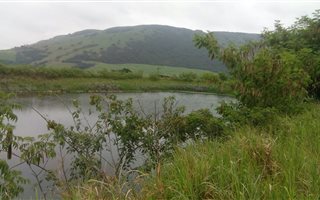 36.2 ha Farm in Camperdown