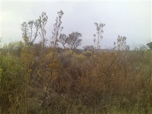 850 m² Land available in Vaaloewer