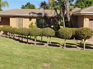 4 Bed House in Vierlanden