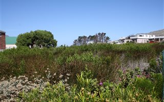1533 m² Land available in Pringle Bay
