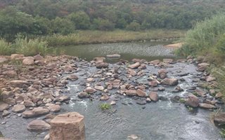 1000 m² Land available in Presidentsrus