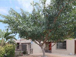 3 Bed House in Protea Heights