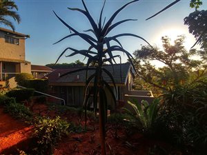 3 Bed House in Manor Gardens