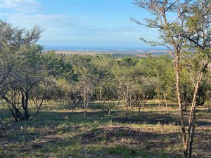 2012 m² Land available in Bathurst and Surrounds