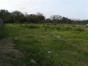 1145 m² Land available in Birdswood