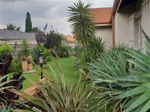 4 Bed House in Vanderbijlpark CE6