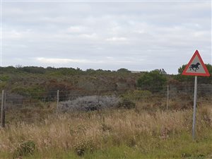 5 ha Land available in Aalwyndal