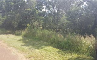 1 ha Land available in Homestead Apple Orchards