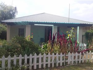 1 ha Farm in Sundra