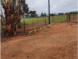 3.7 ha Farm in Ladismith