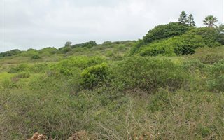 1050 m² Land available in Forest Downs