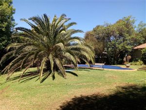 4 Bed House in Kloofendal