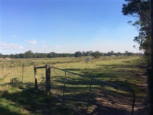 17 ha Farm in Greenbushes