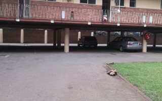 2 Bedroom House in Arcadia