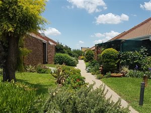 1 Bed Apartment in Groenkloof