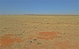 538.9 ha Farm in Boshof