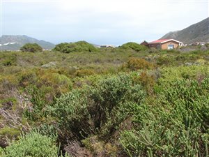 1020 m² Land available in Bettys Bay