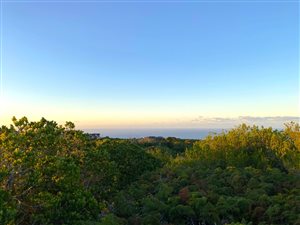 4000 m² Land available in Pezula Private Estate