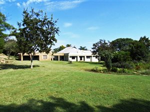 71 ha Farm in Cullinan
