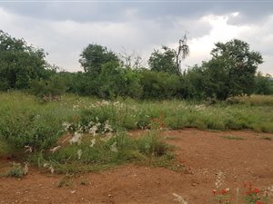 1287 m² Land available in Hazeldean (Silverlakes Surroundings)